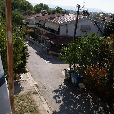 Sofia's House Apartmán